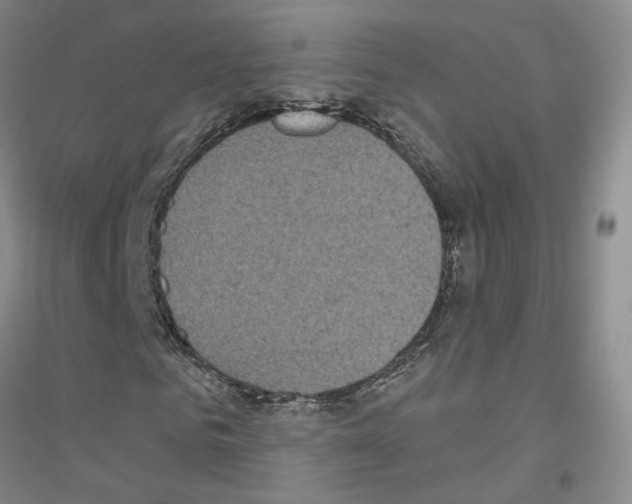 X0000116890961201002021206