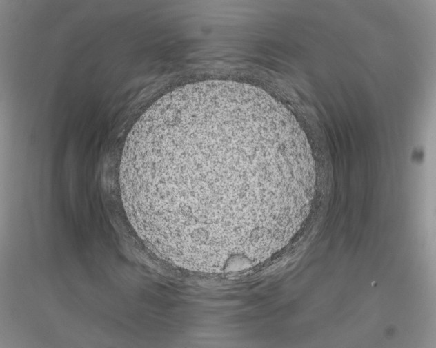 X0000116890962201002021206