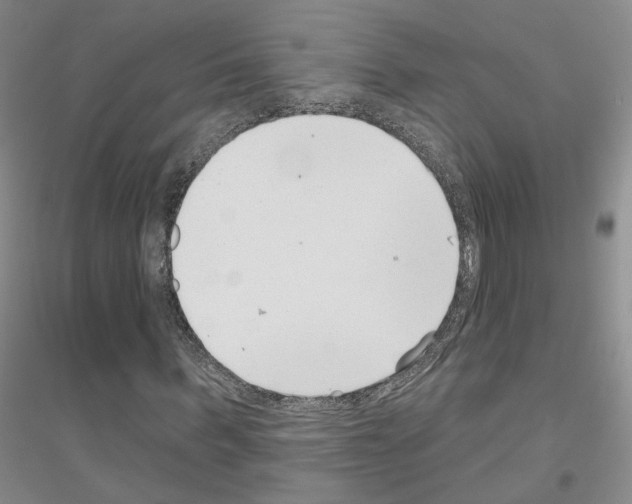 X0000116890963201002021206