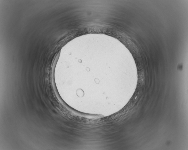 X0000116890964201002021206