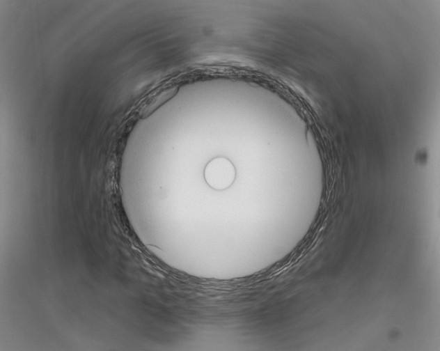 X0000116890965201002021206