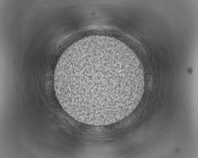 X0000116890966201002021206