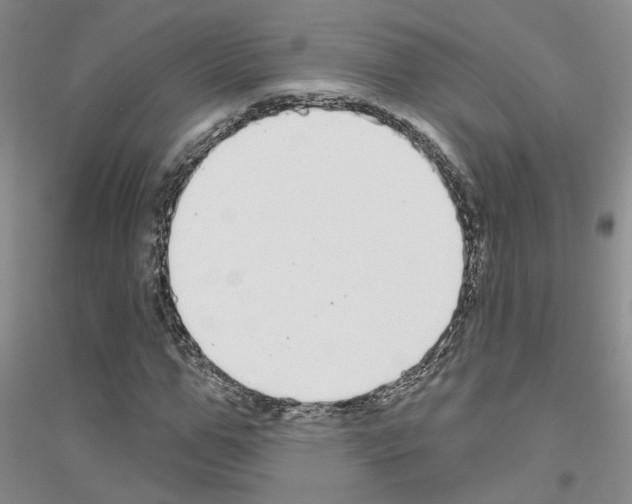 X0000116890967201002021206