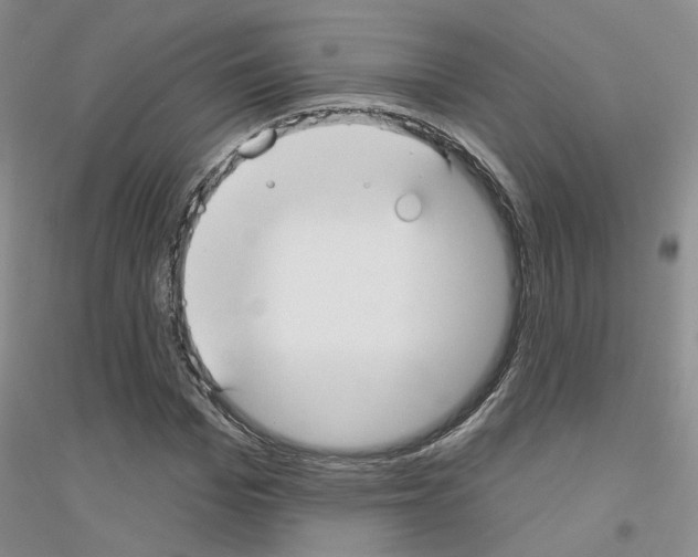 X0000116890969201002021206