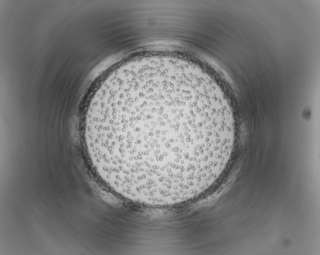 X0000116890970201002021206