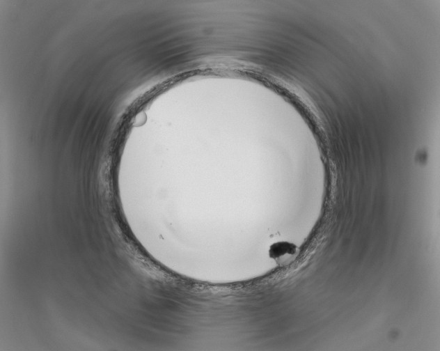 X0000116890971201002021206