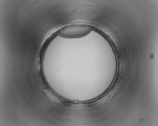 X0000116890973201002021205