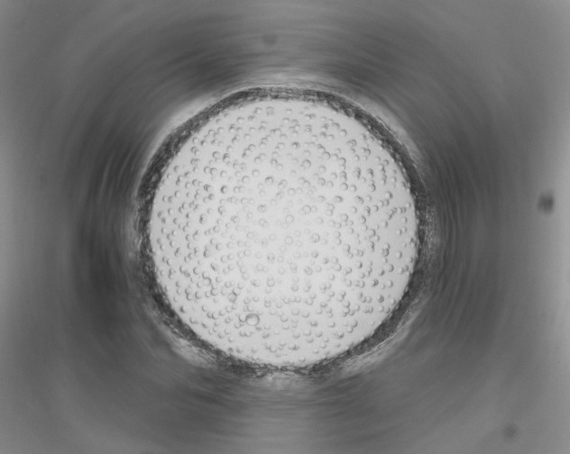 X0000116890974201002021205