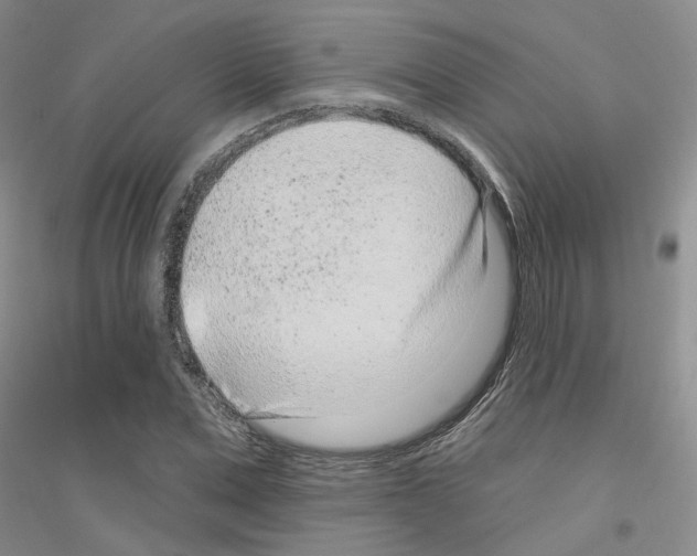 X0000116890975201002021205