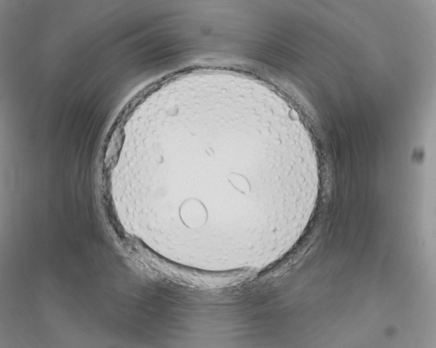 X0000116890976201002021205