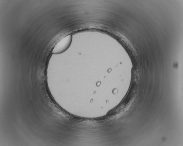 X0000116890977201002021205