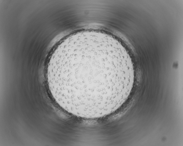 X0000116890978201002021205