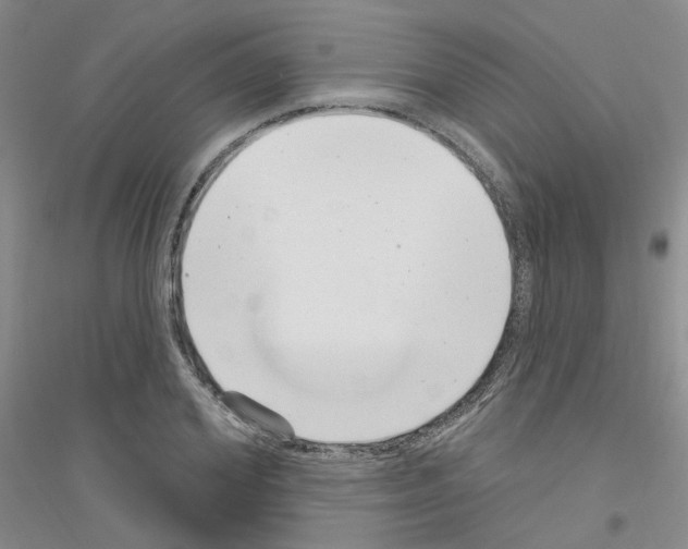 X0000116890980201002021205