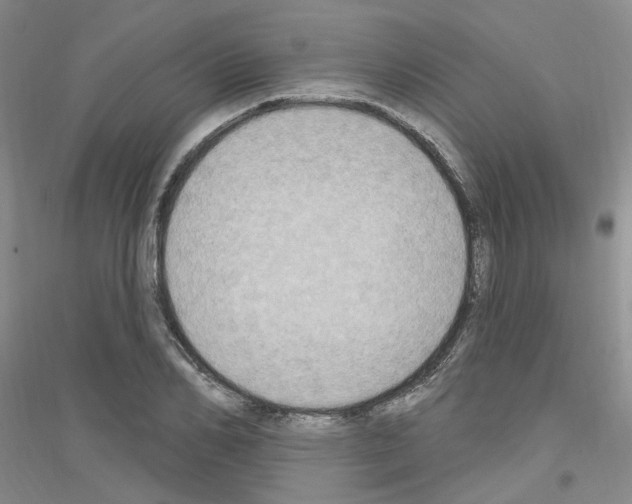 X0000116890982201002021205