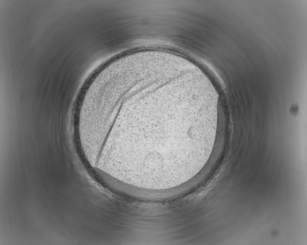 X0000116890983201002021205