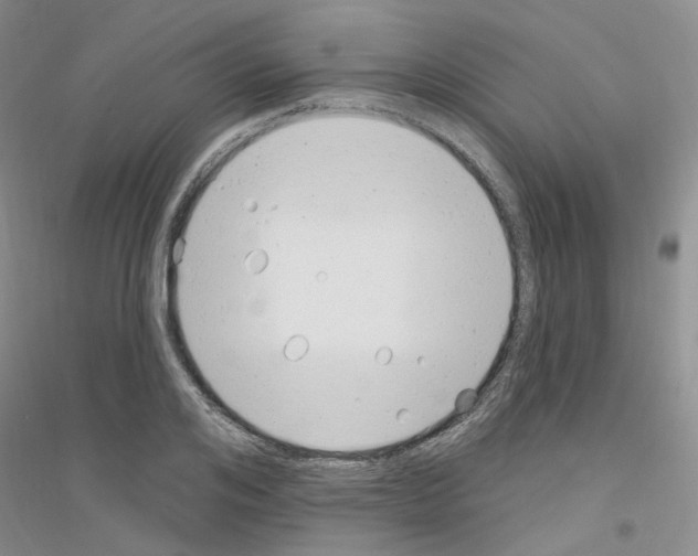 X0000116890984201002021205