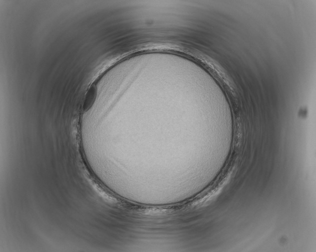 X0000116890985201002021205