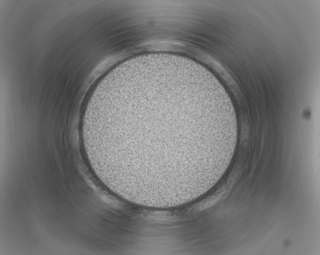 X0000116890986201002021205