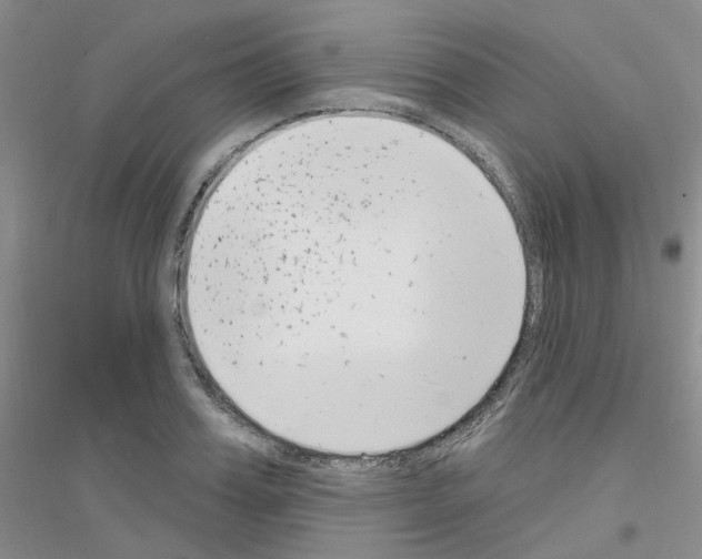 X0000116890987201002021205