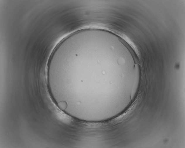 X0000116890988201002021205