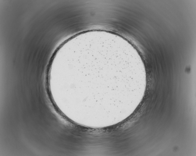 X0000116890991201002021205