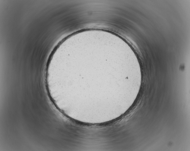 X0000116890992201002021205