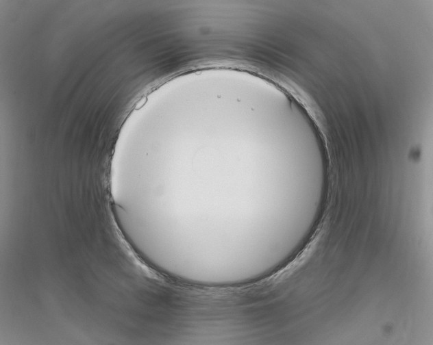 X0000116890993201002021205