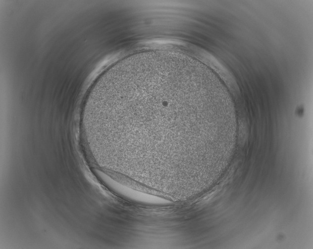 X0000116890994201002021205