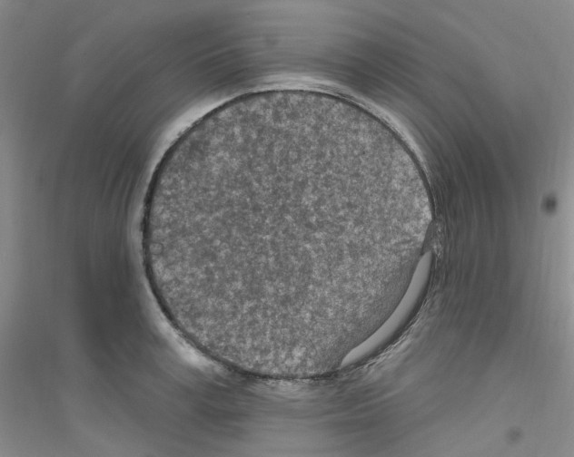 X0000116890995201002021205