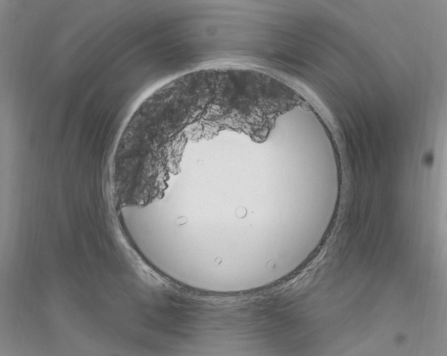 X0000116890996201002021205