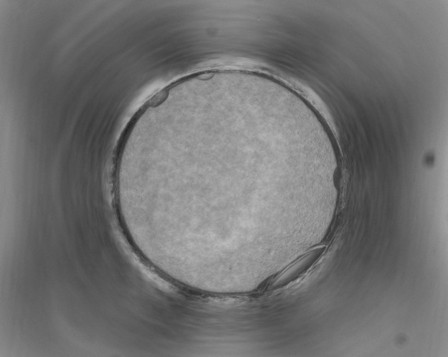 X0000116890997201002021205