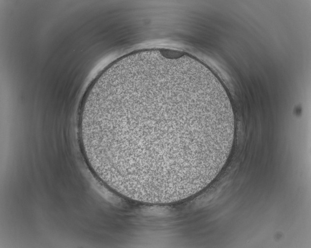 X0000116890998201002021205