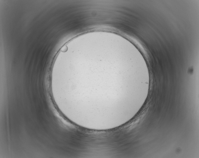 X0000116890999201002021205