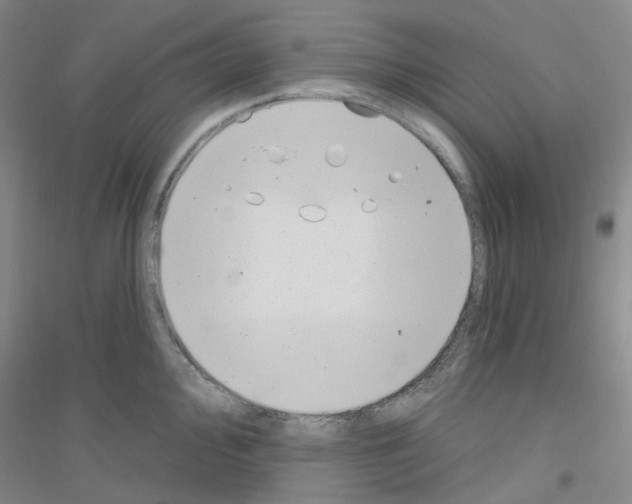 X0000116891000201002021205