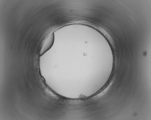 X0000116891001201002021205