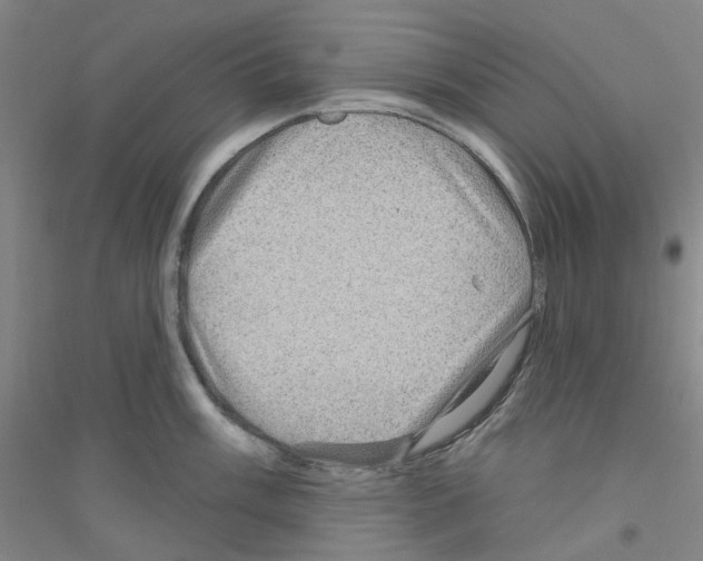 X0000116891003201002021205