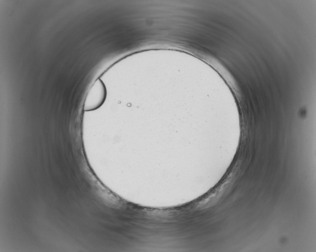 X0000116891004201002021205