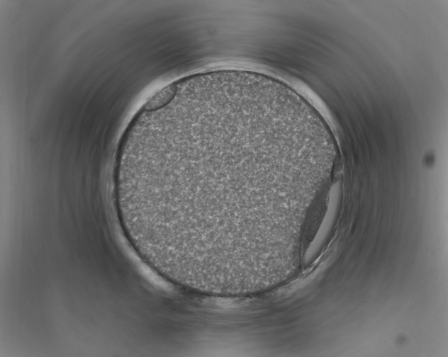 X0000116891005201002021205