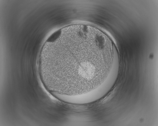 X0000116891007201002021205