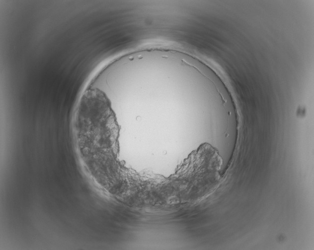 X0000116891008201002021205