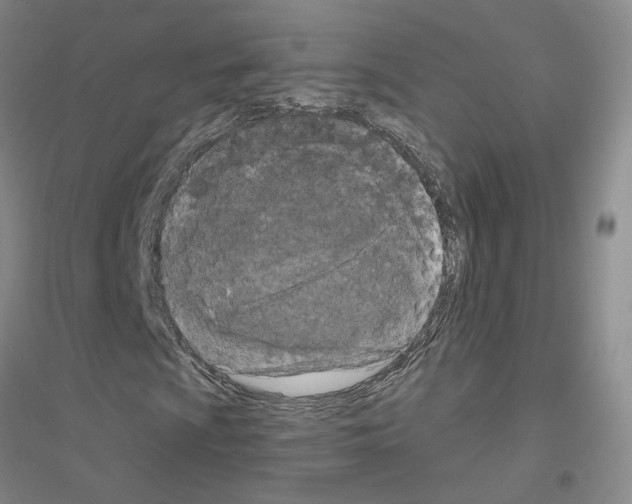 X0000116891009201002021204