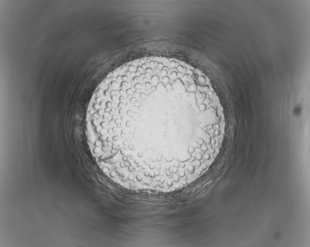 X0000116891010201002021204