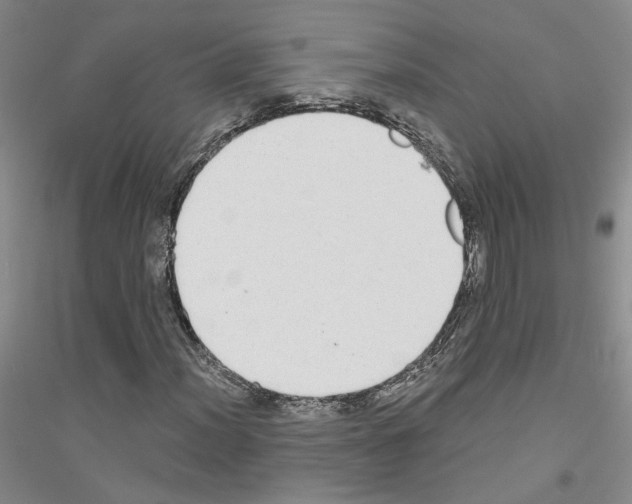 X0000116891012201002021204