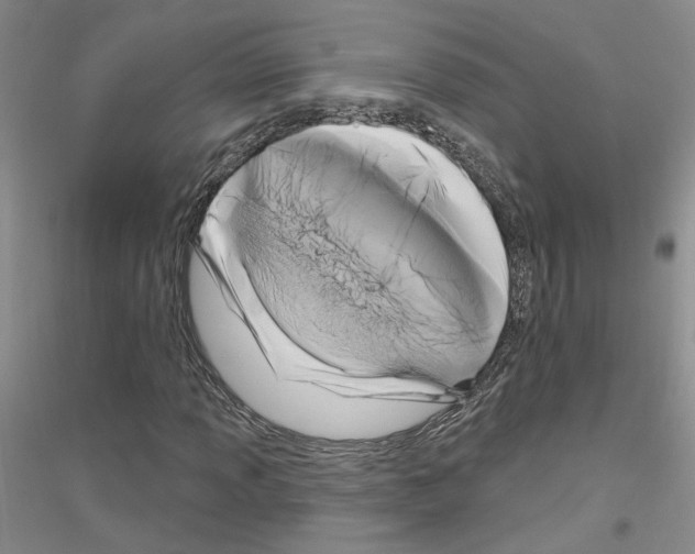 X0000116891013201002021204