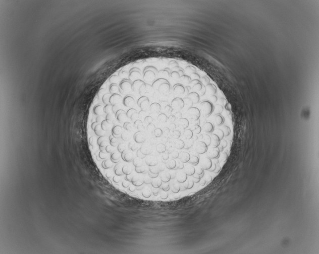 X0000116891014201002021204