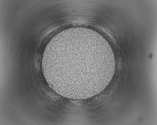 X0000116891015201002021204