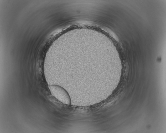 X0000116891016201002021204