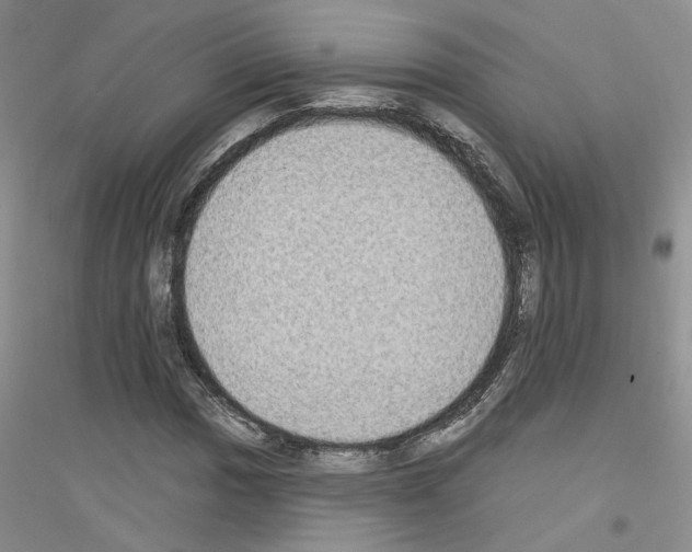 X0000116891017201002021204