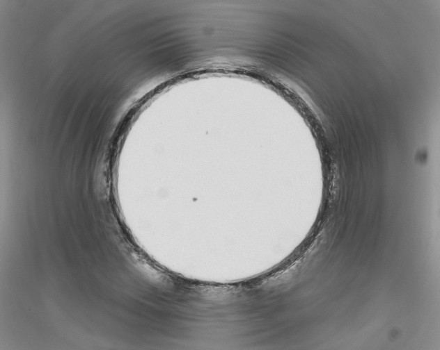 X0000116891018201002021204