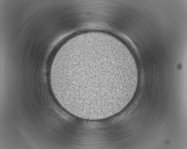 X0000116891019201002021204